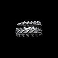Spinebreaker stainless steel ring on a black background